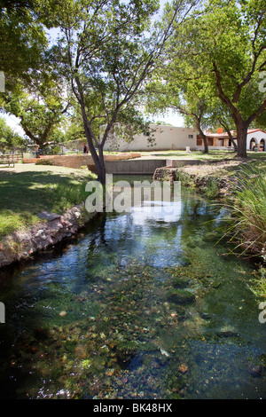 Canal alimentato da San molle Salomone Balmorhea parco dello stato Texas USA Foto Stock