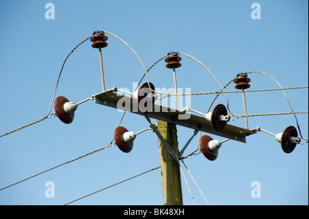 Le linee elettriche di alimentazione e isolatori Foto Stock