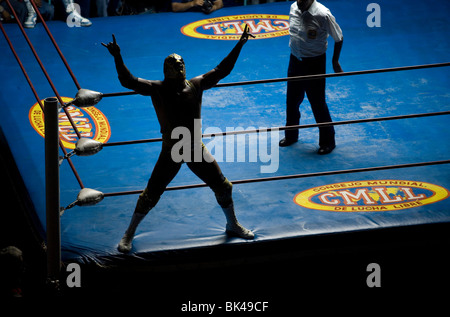 Un lottatore celebra una mossa durante una Lucha Libre evento in Puebla Arena di Puebla, Messico Foto Stock