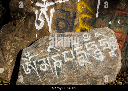 Pietre scolpite con messaggi buddista lungo il percorso a Dharamsala, India Foto Stock