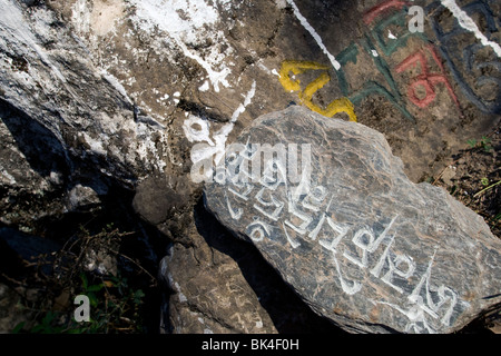 Pietre scolpite con messaggi buddista lungo il percorso a Dharamsala, India Foto Stock