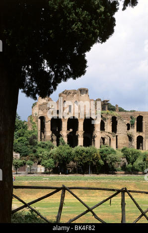 Rovine del Circo Massimo di Roma, Italia Foto Stock