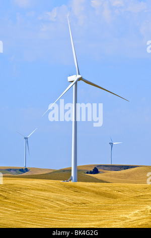 Mulini a vento che forniscono energia rinnovabile su terreni agricoli in Washington sudorientale Foto Stock