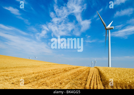 Mulini a vento che forniscono energia rinnovabile su terreni agricoli in Washington sudorientale Foto Stock