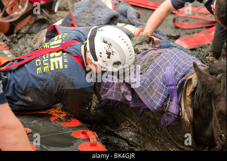 I vigili del fuoco nel processo di salvataggio cavallo bloccato nel fango profondo in zona boscosa REGNO UNITO Foto Stock