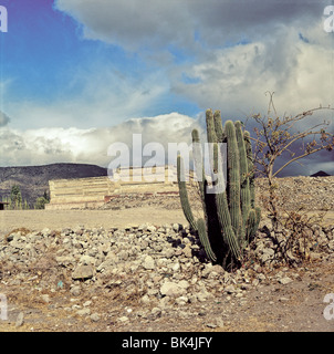 Il Cactus e il zapoteco rovine della Sala delle Colonne al Milta sito storico dello Stato di Oaxaca, Messico Foto Stock