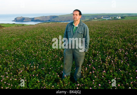 Agricoltore biologico e attivista GM Gerald Miglia nel campo di trifoglio rosso sulla sua fattoria vicino a St Davids Pembrokeshire Coast West Wales UK Foto Stock