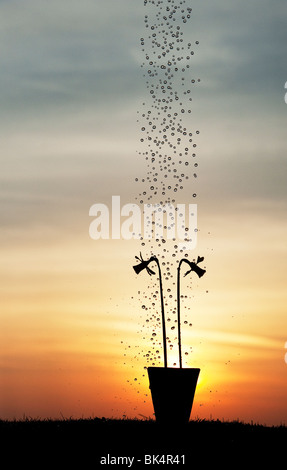 Gocce d'acqua che cadono su daffodil fiori in un vaso a sunrise silhouette Foto Stock