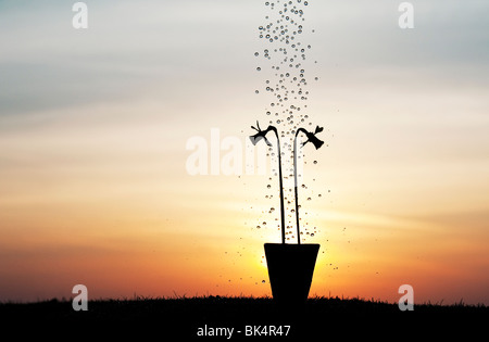 Gocce d'acqua che cadono su daffodil fiori in un vaso a sunrise silhouette Foto Stock