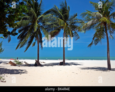 Thailandia incontaminata e deserta spiaggia tropicale con palme e la sabbia bianca. Khao Kalok, Hua Hin, Pranburi, Thailandia, Asia Foto Stock