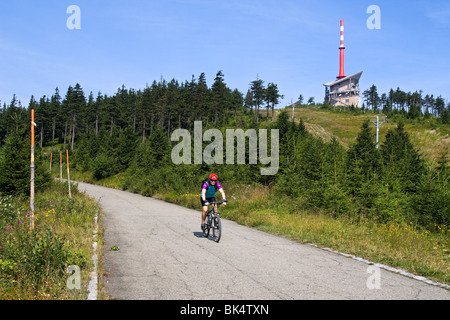 picco di montagna Foto Stock