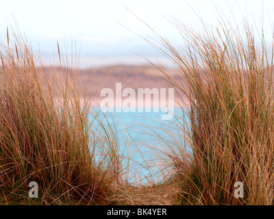 Percorso attraverso le dune di sabbia di mare Foto Stock