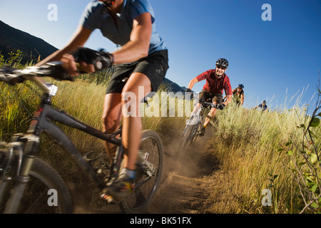 Un gruppo di appassionati di mountain bike sul sentiero sterrato, vicino a Steamboat Springs, Routt County, Colorado, STATI UNITI D'AMERICA Foto Stock