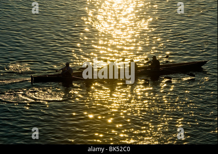 Rematore rower sculler fila sport a remi paddle paddling al tramonto tramonto della luce del sole soleggiato acqua retroilluminazione fiume oro giallo dorato Foto Stock