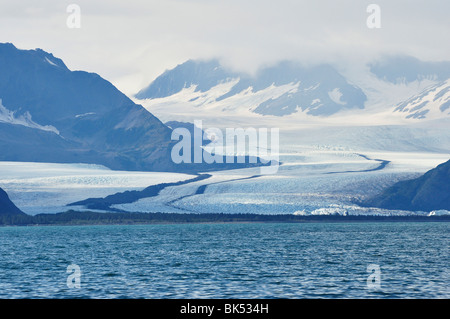 Bear Glacier, il Parco nazionale di Kenai Fjords, Alaska, STATI UNITI D'AMERICA Foto Stock