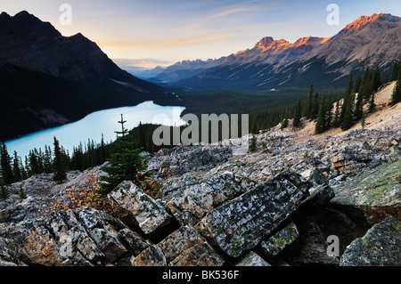 Peyto Lake, il Parco Nazionale di Banff, Alberta, Canada Foto Stock