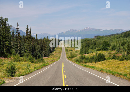 Stewart-Cassiar autostrada, British Columbia, Canada Foto Stock