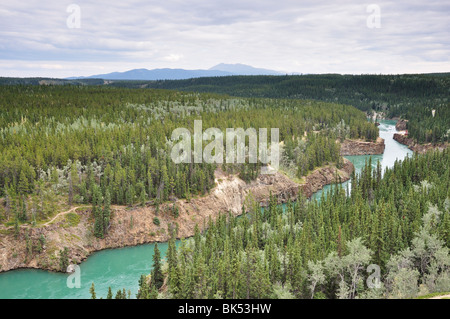 Yukon River e miglia Canyon, vicino a Whitehorse, Yukon Territory, Canada Foto Stock