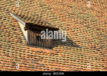 Finestra Doormer, tetto Foto Stock