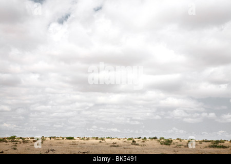 Marfa, Presidio County, Texas, Stati Uniti d'America Foto Stock