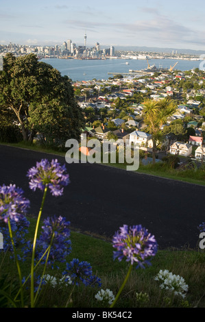 Auckland, Isola del nord, Nuova Zelanda Foto Stock