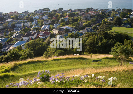 Auckland, Isola del nord, Nuova Zelanda Foto Stock