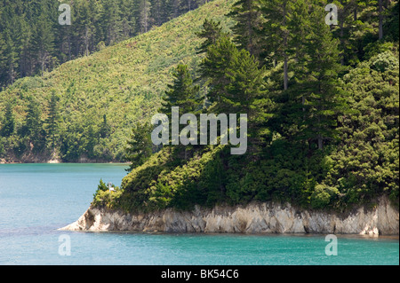 Nuova Zelanda Foto Stock