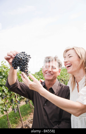 Produttori di vino Uve di contenimento Foto Stock