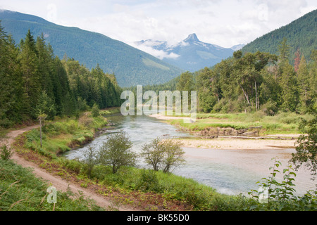Fiume Slocan, British Columbia, Canada Foto Stock