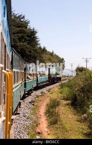 India, nello Stato del Tamil Nadu, Udhagamandalam (Ooty), Nilgiri ferrovia di montagna di treno a cremagliera decrescente per Coonor Foto Stock