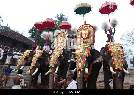 Pooram peruvanam,un festival annuale tenutasi a tempio peruvanam,vicino a thrissur,famoso per chenda melam,specialmente panchari melam Foto Stock