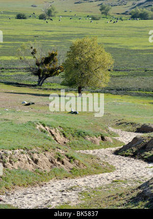 Warner nel suo ranch lungo S2, CA 100402 35279 Foto Stock