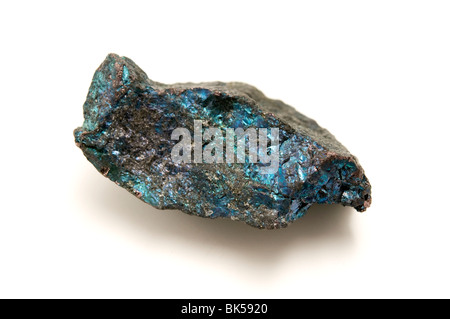 Bornite su sfondo bianco Foto Stock