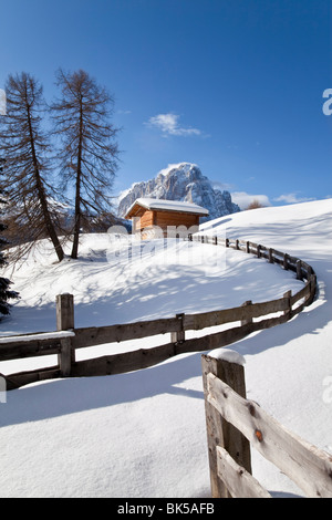 Neve invernale coperto baita di montagna nella parte anteriore del Sassolungo, Val Gardena, Dolomiti, Alto Adige, Italia Foto Stock