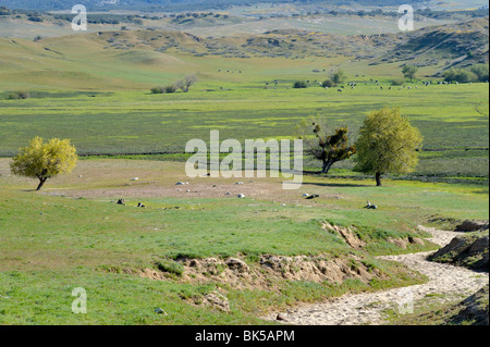 Warner nel suo ranch lungo S2, CA 100402 35281 Foto Stock