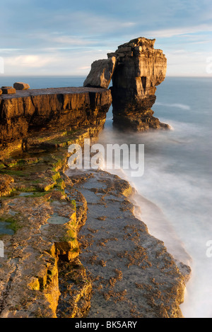 Il pulpito Rock, Portland Bill, isola di Portland, Dorset, England, Regno Unito, Europa Foto Stock