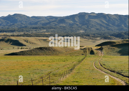 Warner nel suo ranch lungo S2, CA 100402 35242 Foto Stock