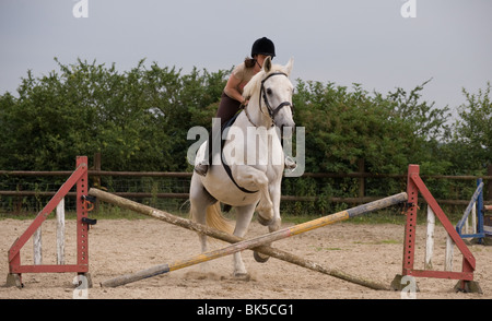 Un progetto irlandese cavallo utilizzato per il salto in una scuola di sabbia Foto Stock