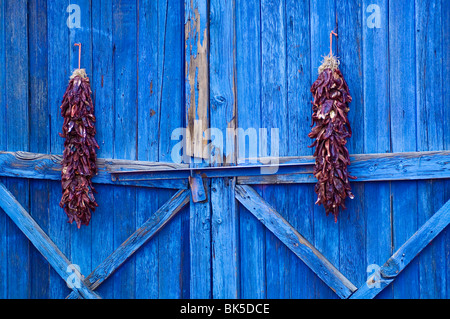 Peperoncino ristra appesi in Old Town Albuquerque, Nuovo Messico, Stati Uniti d'America, America del Nord Foto Stock