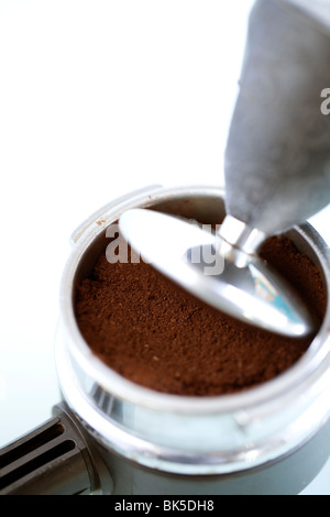 Caffè appena macinato in una smerigliatrice titolare viene premuto verso il basso pronto a fare il caffè fresco o espress Foto Stock