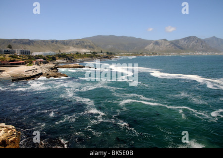 Il Vecchio Porto di Hermanus una località balneare nota per whale watching le attività nel Western Cape Sud Africa Foto Stock