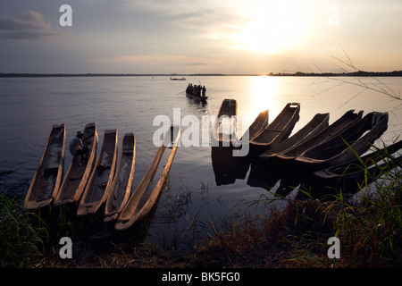 Piroga canoa (piroghe) sul fiume Congo, Yangambi, Repubblica Democratica del Congo, Africa Foto Stock