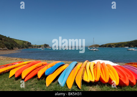 Kayak a matiatia Bay, Isola di Waiheke, Auckland. Foto Stock