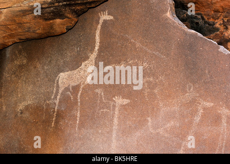 Incisioni rupestri, Sito Patrimonio Mondiale dell'UNESCO, Twyfelfontein, Namibia, Africa Foto Stock