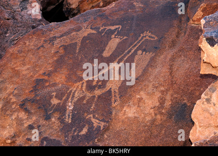 Incisioni rupestri, Sito Patrimonio Mondiale dell'UNESCO, Twyfelfontein, Namibia, Africa Foto Stock