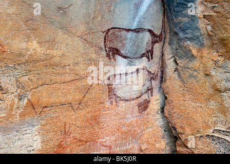 Le pitture rupestri di circa 4000 anni, Tsodilo Hills, Sito Patrimonio Mondiale dell'UNESCO, il Botswana, Africa Foto Stock