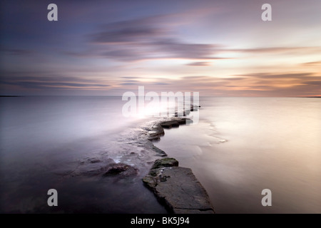 Kimmeridge Bay al tramonto mostra onda-piattaforma di taglio noto localmente come i cappelli, Perbeck District, Dorset, England, Regno Unito Foto Stock