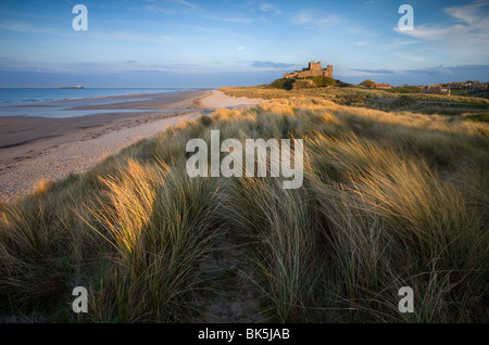 Il castello di Bamburgh inondate di luce della sera dalle dune sopra Bamburgh Beach, Bamburgh, Northumberland, Regno Unito Foto Stock