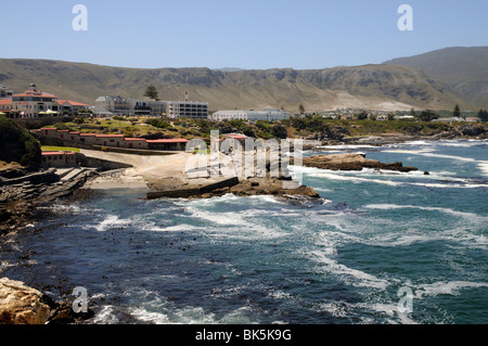 Il Vecchio Porto di Hermanus una località balneare nota per whale watching le attività nel Western Cape Sud Africa Foto Stock