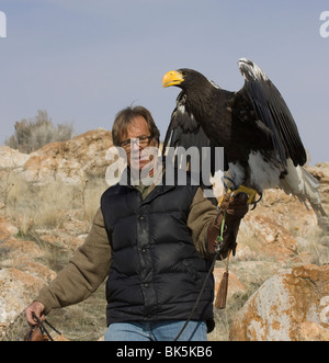 Falconer Steve Chindgren e Steller's Sea Eagle Foto Stock